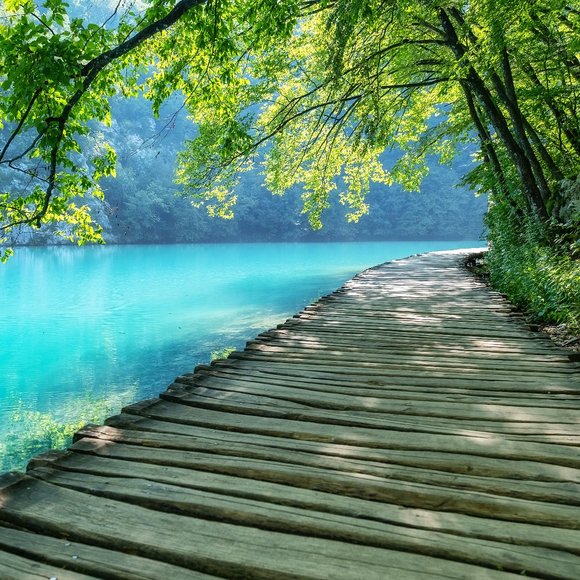 Hi - Picture 16 of 16